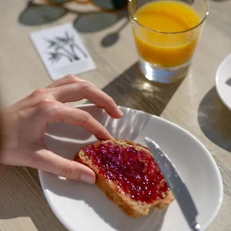 Krinos Andros Hotel Batsi