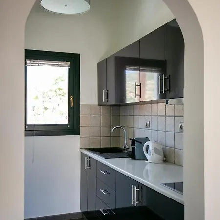 Hotel Krinos Andros 3*