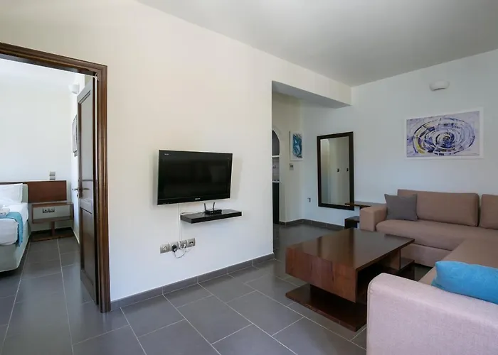 Ξενοδοχείο Krinos Andros 3*