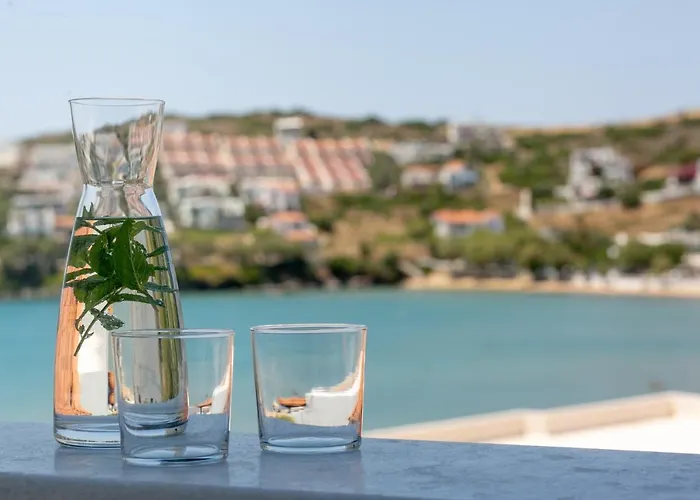 Ξενοδοχείο Krinos Andros 3*