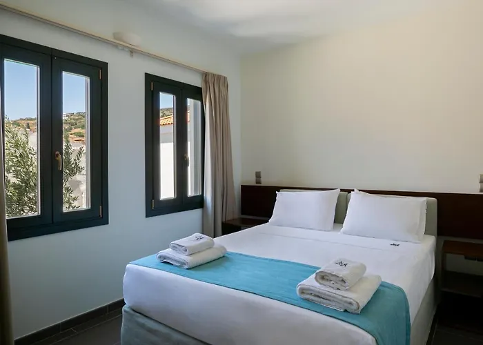 Ξενοδοχείο Krinos Andros