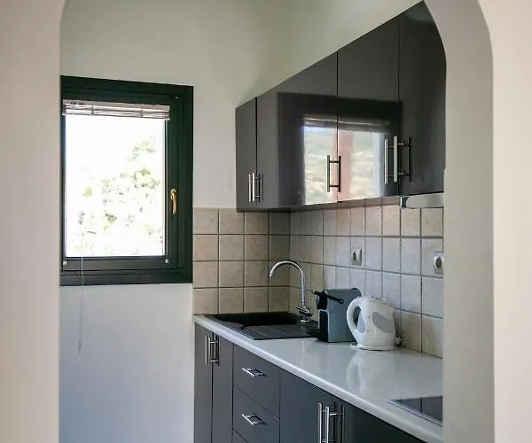 Ξενοδοχείο Krinos Andros 3*