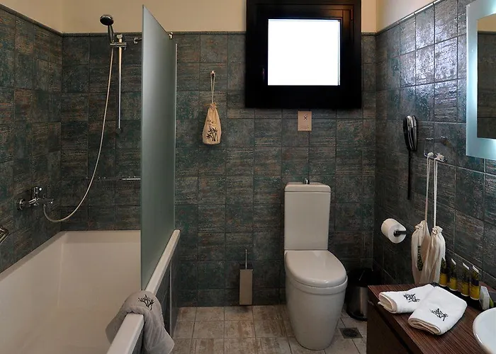 Krinos Andros Ξενοδοχείο 3*