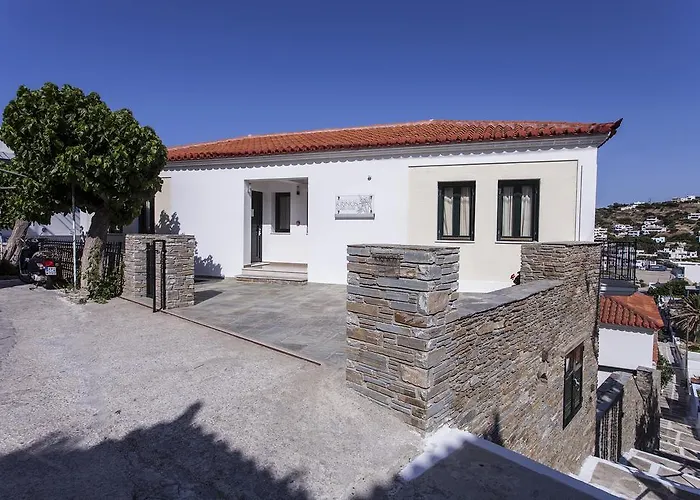 Ξενοδοχείο Krinos Andros 3*