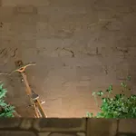Krinos Andros Batsi