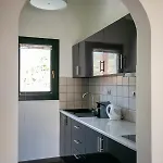 Hotel Krinos Andros 3*
