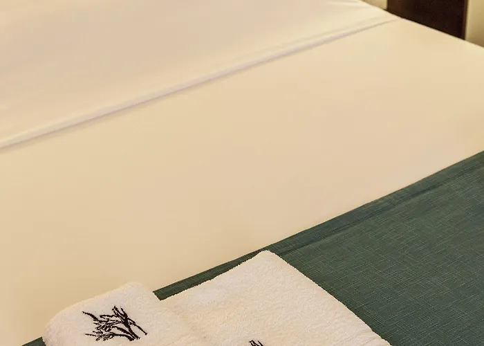 Krinos Andros 酒店 3*