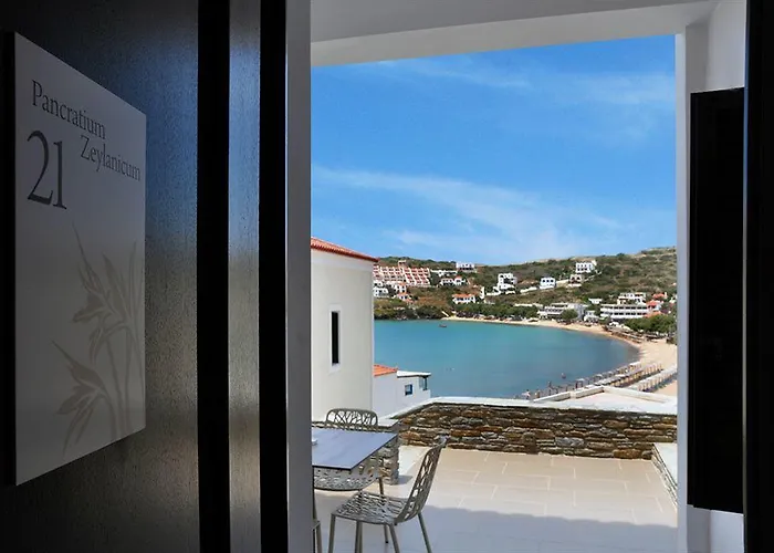 酒店 Krinos Andros 巴特斯欧