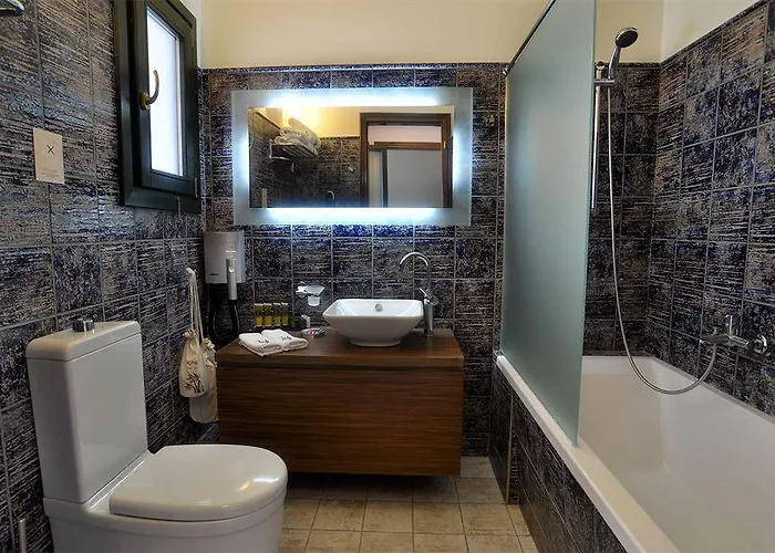 酒店 Krinos Andros 3*